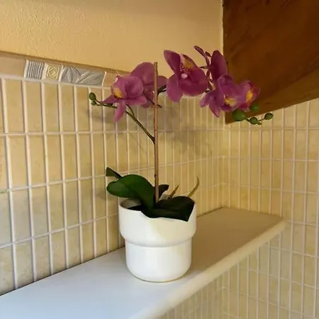 Apartamento Attic Rosa Con Posto Auto Privato